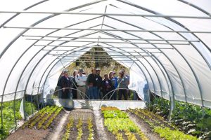 Copy of Ten Mothers Farm Tour-24