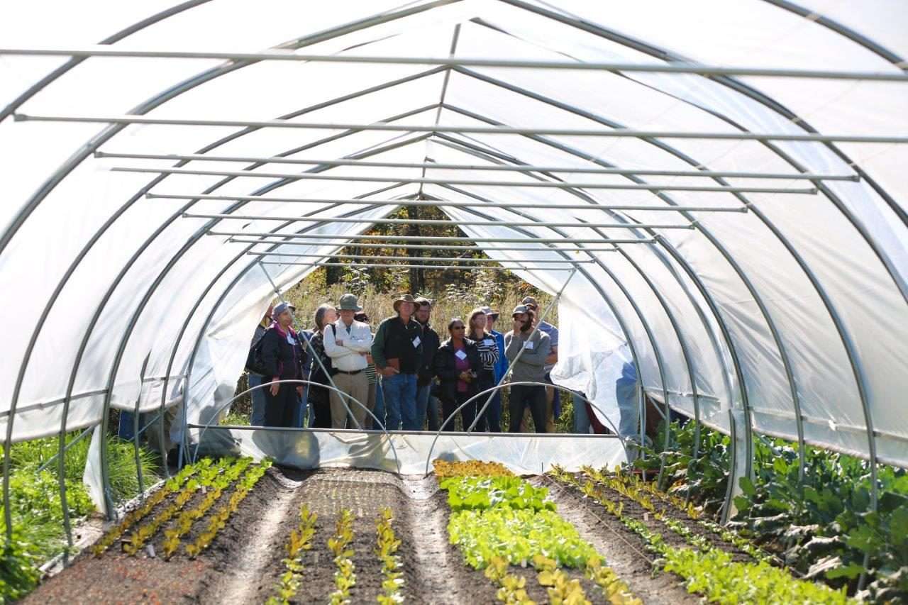 copy of ten mothers farm tour 24 (1)